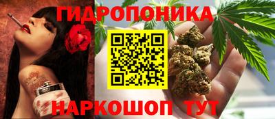 стафф Волжск
