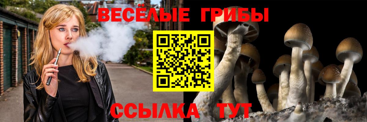 Галлюциногенные грибы Psilocybine cubensis Миллерово