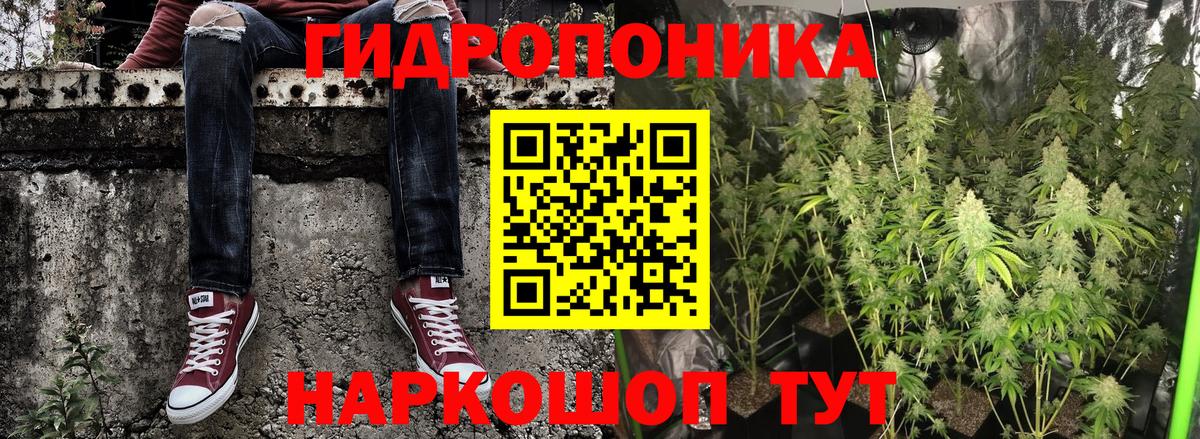 Бошки Шишки Amnesia Миллерово